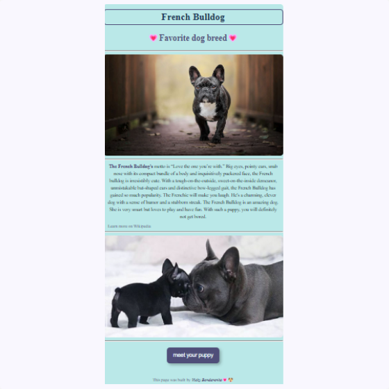 French bulldog project